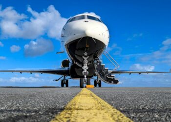 Foto: Joerg Mangelsen/Pexels