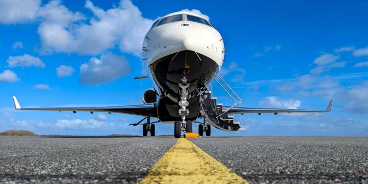 Foto: Joerg Mangelsen/Pexels