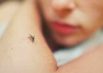 As cores que mais atraem os mosquitos e que devem ser evitadas na roupa, segundo a ciência