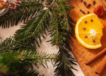 Foto: Alicja Gancarz/Pexels