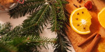 Foto: Alicja Gancarz/Pexels