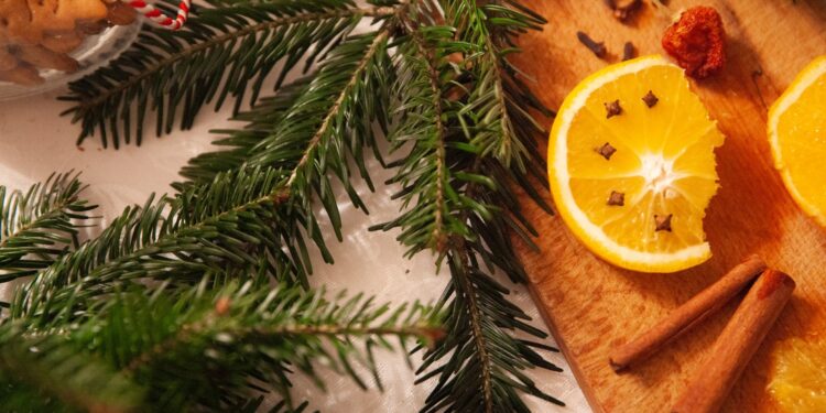 Foto: Alicja Gancarz/Pexels