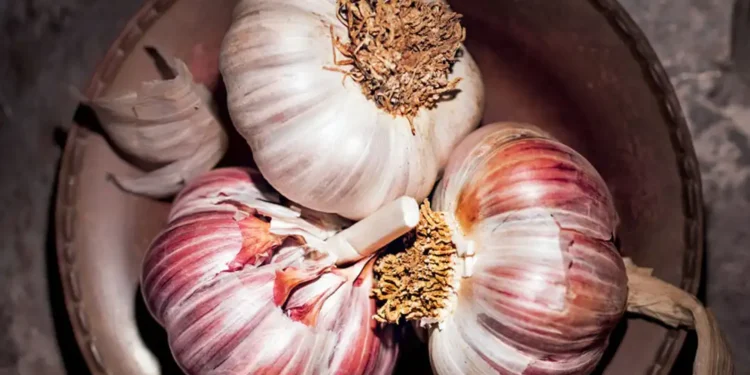 Esfregar alho nos cantos da casa: para que serve e por que é recomendado