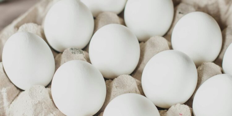 Foto: Ksenia Chernaya/Pexels