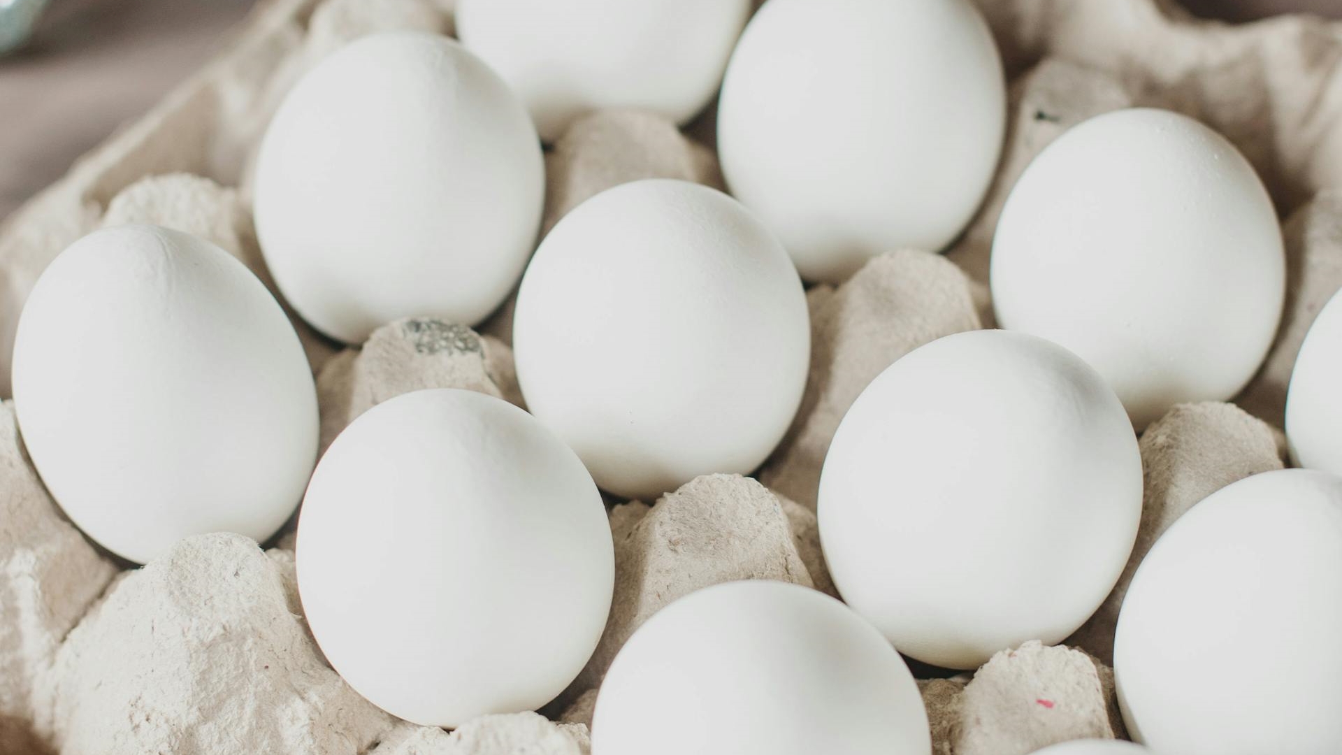 O que dizem os especialistas: os ovos devem ser guardados na geladeira ou fora dela?