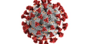 Gripe H3N2: sintomas e o que se sabe até o momento