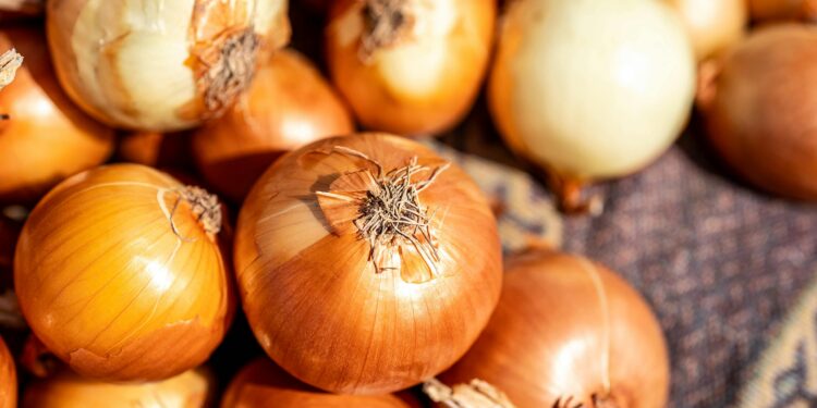 Esfregar cebola no interior da lixeira: para que serve e por que recomendam