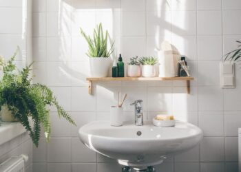 A planta que não pode faltar no banheiro: combate a umidade e atrai serenidade