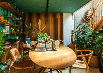 Brasileiros adoram colocar essa planta colorida em casa, porém ela é vista como um ímã de má sorte