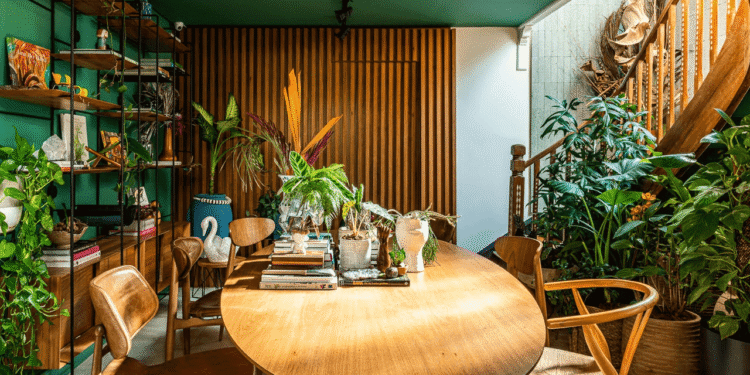 Brasileiros adoram colocar essa planta colorida em casa, porém ela é vista como um ímã de má sorte