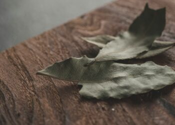 Foto: Faran Raufi/Unsplash