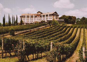 Cidade conhecida como a "Capital dos Vinhos" fica no Sul do Brasil e virou refúgios dos casais apaixonados