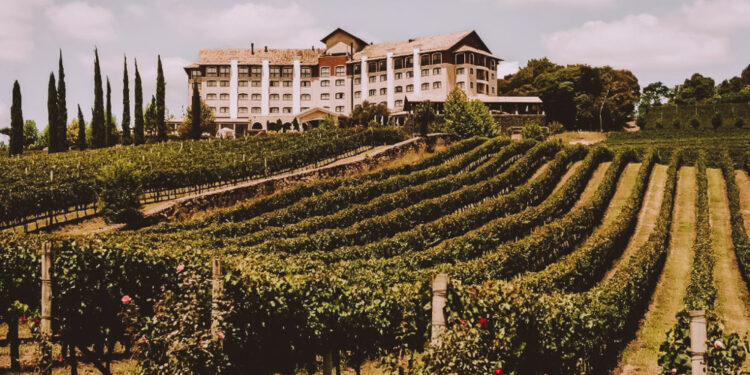 Cidade conhecida como a "Capital dos Vinhos" fica no Sul do Brasil e virou refúgios dos casais apaixonados