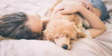 Se o seu cachorro dorme grudado ou em cima de você, isto é o que ele realmente tenta te dizer