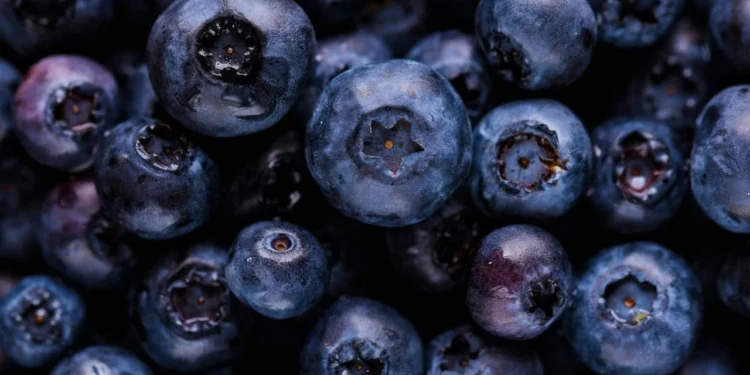 Fruta da Longevidade