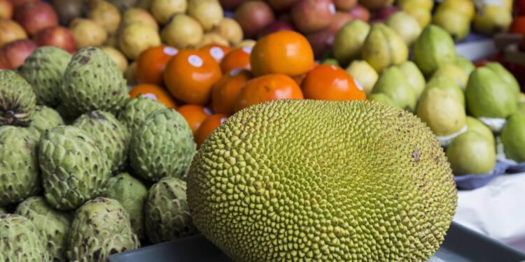 A maior fruta do mundo está no Brasil, tem gosto doce e ajuda na perda de peso