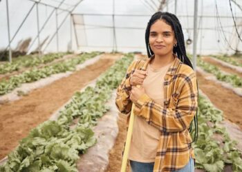 É oficial: o Governo oferecerá acesso a terras e auxílios para jovens que cumpram estes requisitos