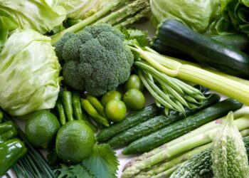 Parece saudável, mas esconde perigo: alimento pode levar cobras para dentro da sua geladeira