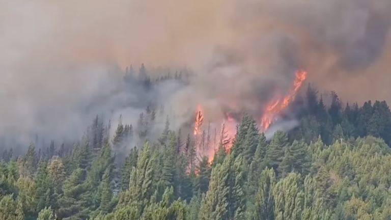 A esquerda latina se aproxima da ditadura argentina