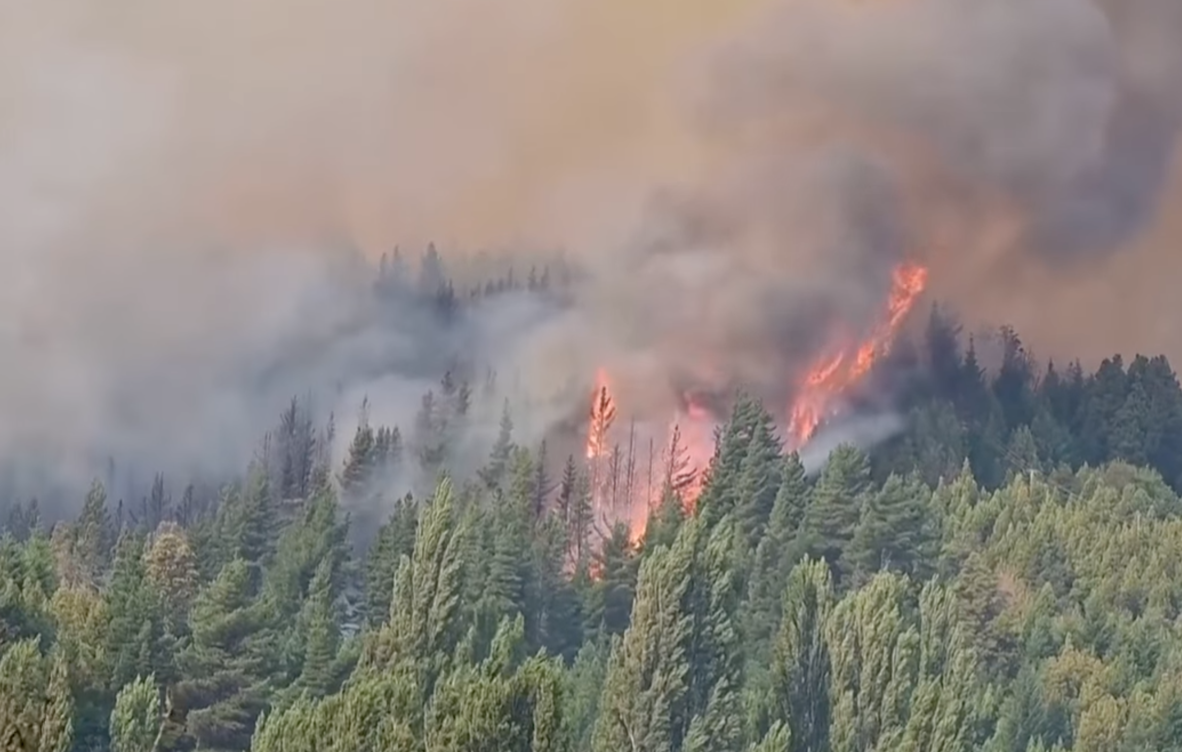 A esquerda latina se aproxima da ditadura argentina