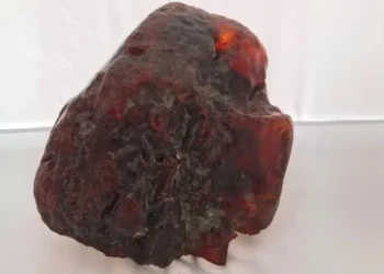 Essa família tinha uma joia de R$ 6 milhões dentro de casa e não fazia a menor ideia