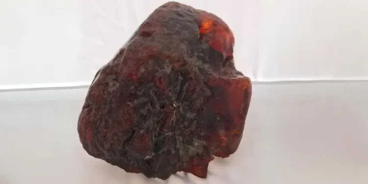 Essa família tinha uma joia de R$ 6 milhões dentro de casa e não fazia a menor ideia