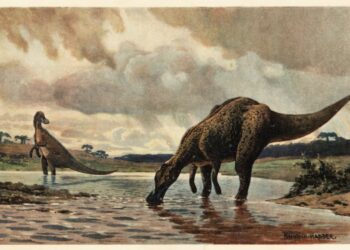 Cientistas confirmam presença de dinossauro gigante de 12 metros na América