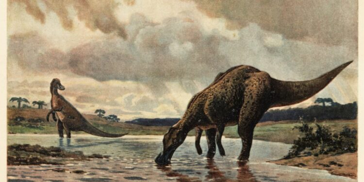 Cientistas confirmam presença de dinossauro gigante de 12 metros na América