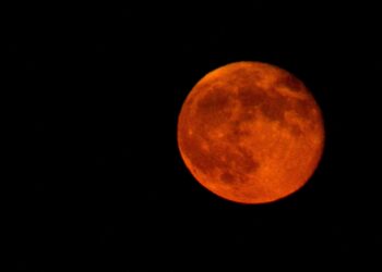 Foto: Peggy Sue Zinn/Unsplash