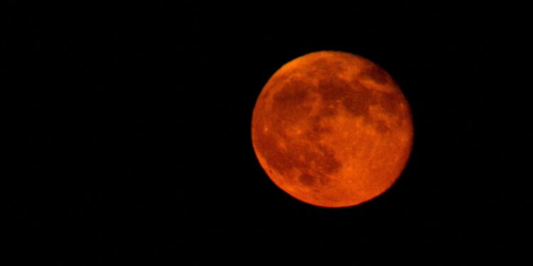 Foto: Peggy Sue Zinn/Unsplash