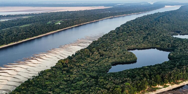 Foto: Gustavo Denuncio/Pexels