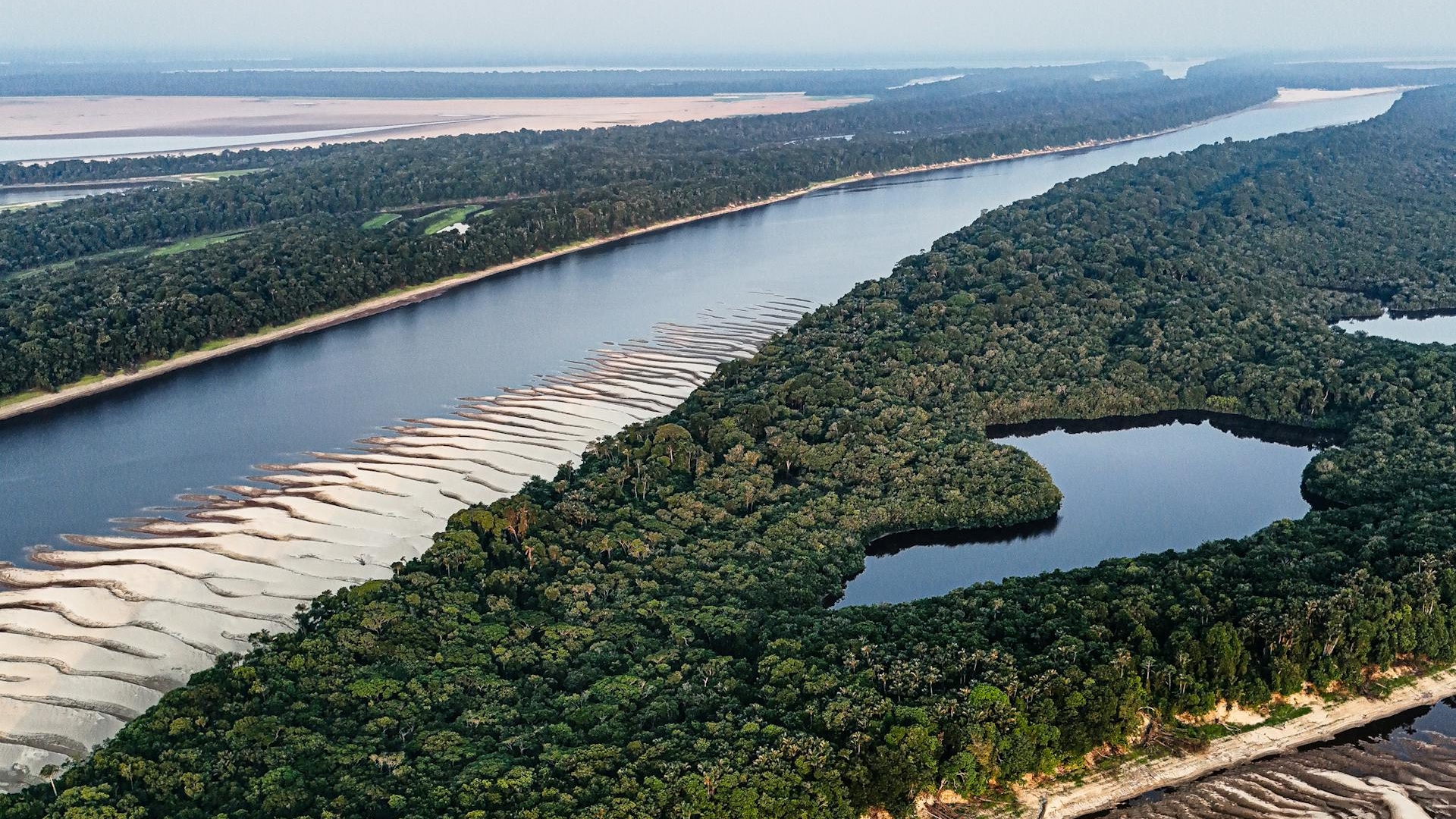 Cientistas dizem que o que aprendemos sobre a Amazônia é uma ilusão