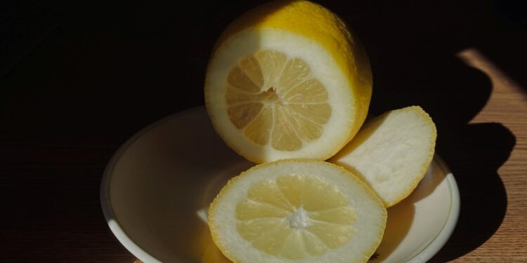 Foto: Nelia Iv/Unsplash