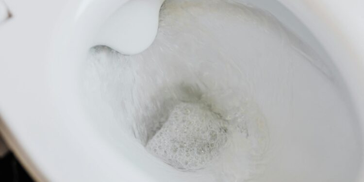 Foto: Karola G/Pexels