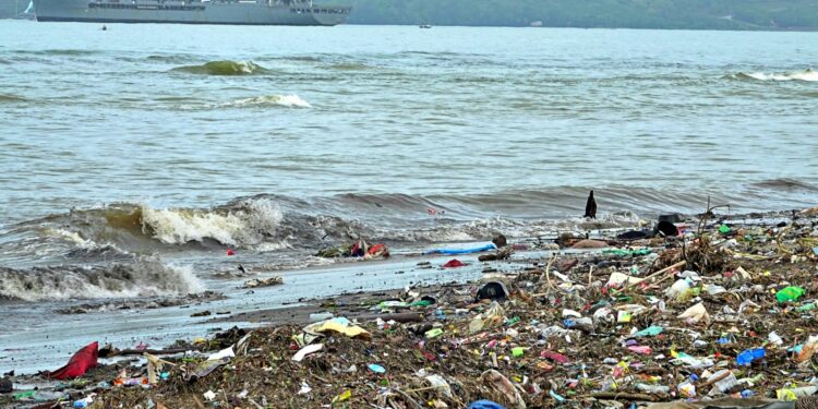 Foto: James Lo/Unsplash