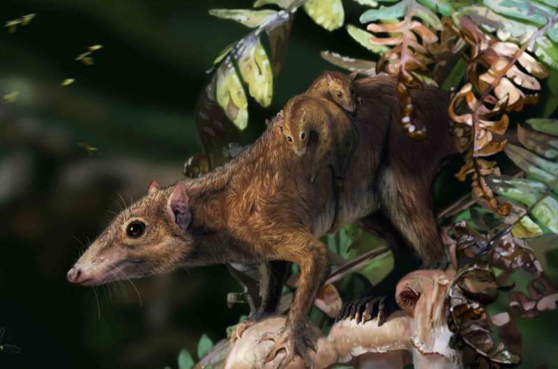 Após 65 milhões de anos, descobriram um novo animal que sobreviveu a extinção dos dinossauros