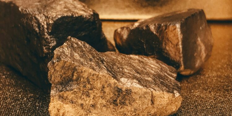 Foto: rc.xyz NFT gallery/Unsplash