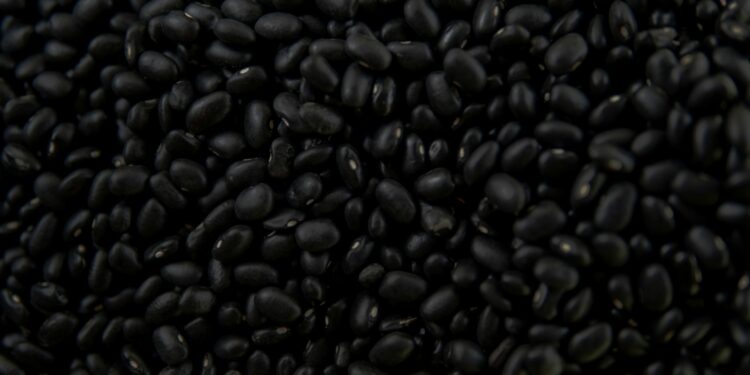 Foto: Junior Bazzo/Unsplash