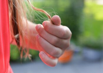 Foto: ClickerHappy/Pexels