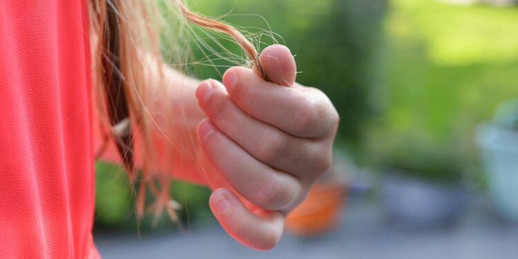 Foto: ClickerHappy/Pexels