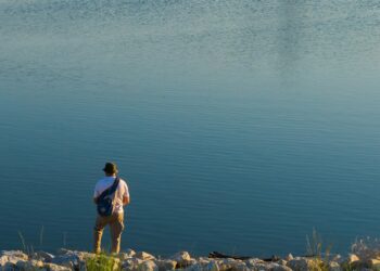 Foto: Jeffrey Hamilton/Unsplash