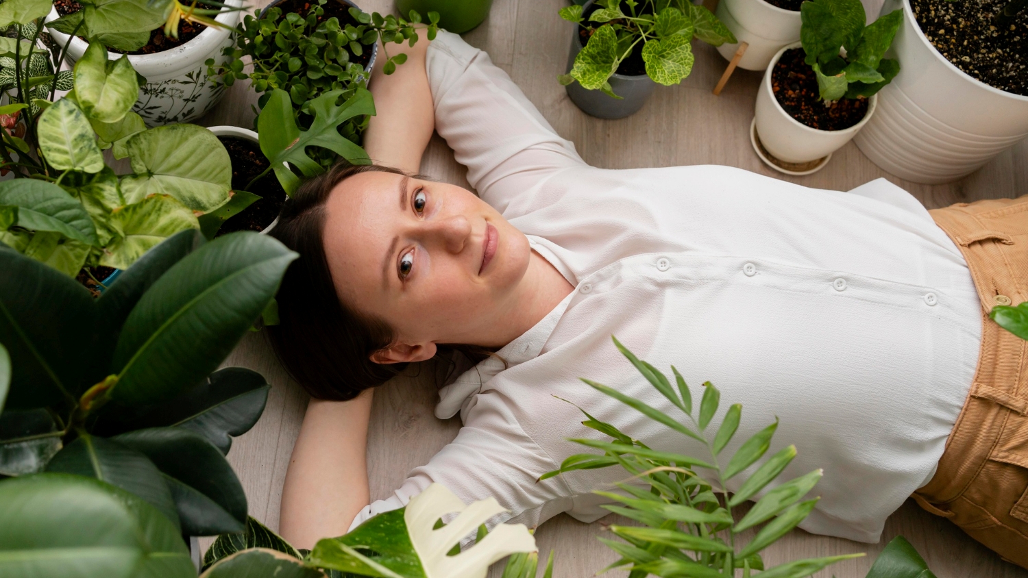 As melhores plantas para quem sofre de ansiedade e estresse crônico