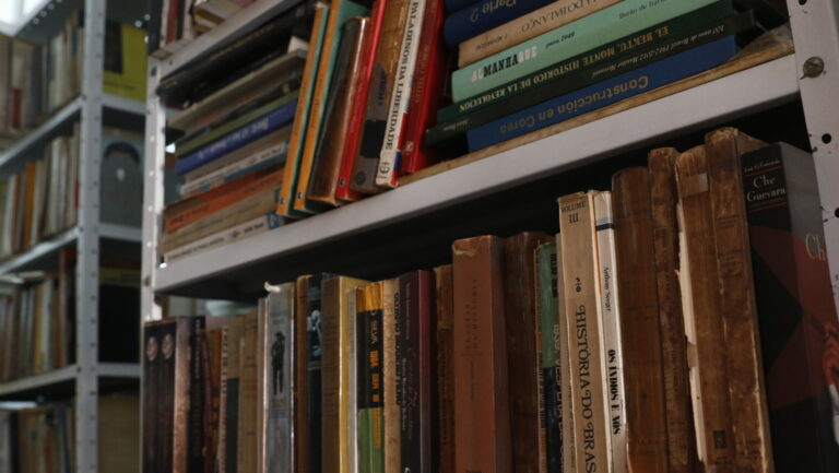 Vale a pena se ocupar com a política?