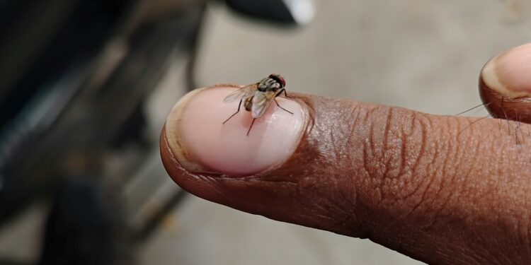 Foto: Bala Murugan/Unsplash