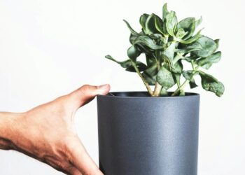 Foto: feey/Unsplash