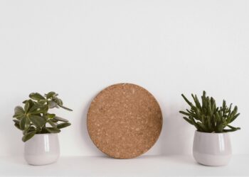 As melhores plantas para quem tem rinite e alergias respiratórias