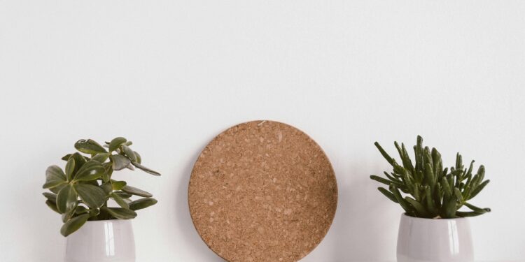 As melhores plantas para quem tem rinite e alergias respiratórias