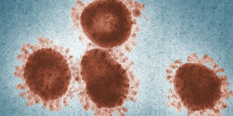 Surto de fungo raro espalha-se e causa mortes e dezenas de casos neste país