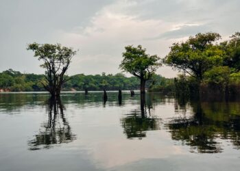 Alerta no Brasil: NASA identifica regiões que podem se tornar inabitáveis nas próximas décadas