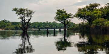 Alerta no Brasil: NASA identifica regiões que podem se tornar inabitáveis nas próximas décadas